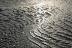 3890132920_ec0830aaf8_o