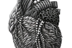 Alex-Konahin-Heart-Coeur-Illustration