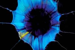 Liquid-Jewel-Fabian-Oefner-18