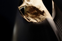 Peugeot-Design-Lab-Lustre-ONYX-008-3